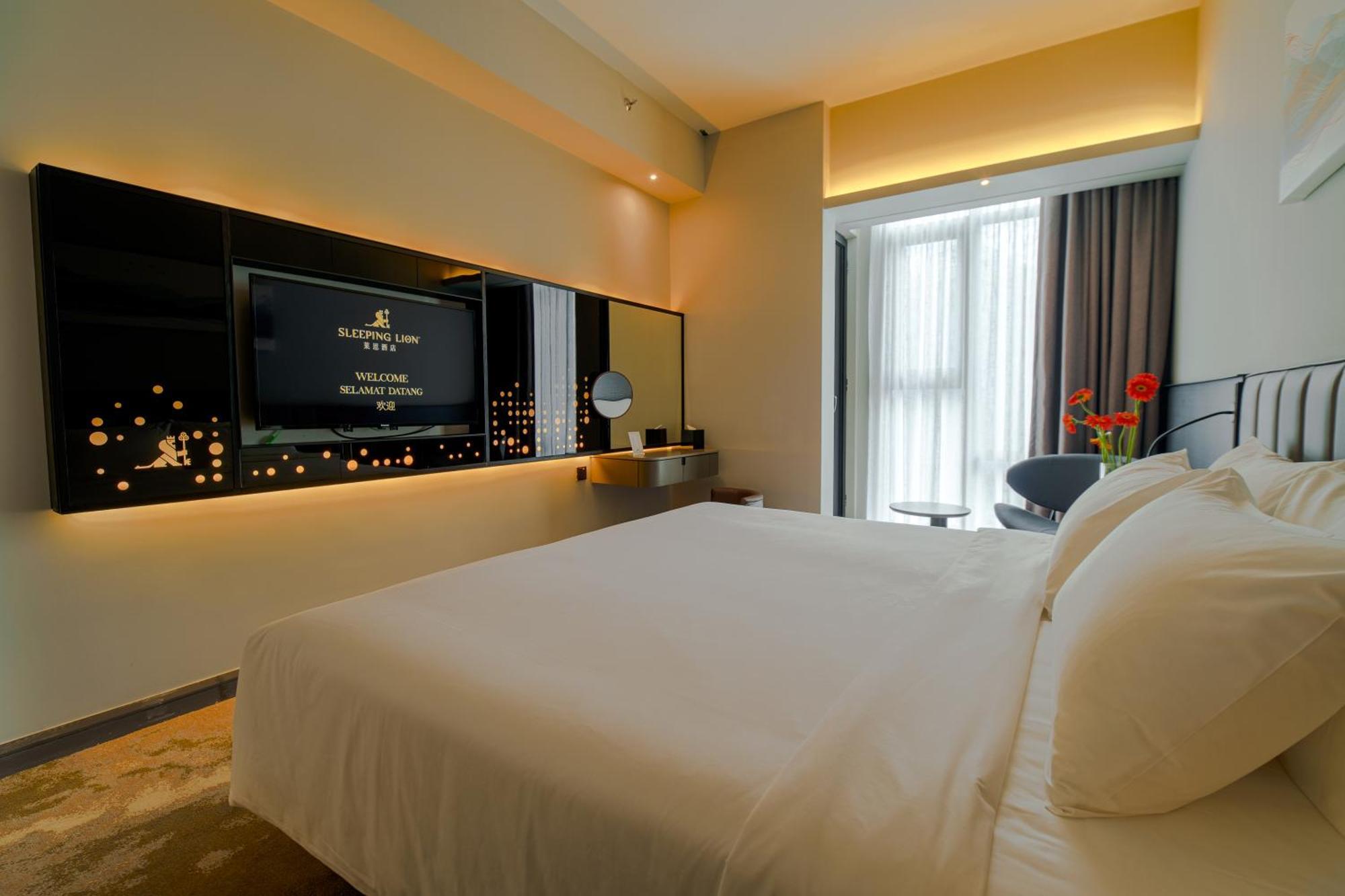 Hotel Sleeping Lion 3*